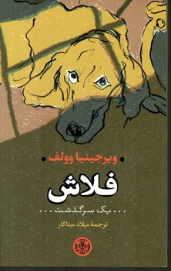 تصویر  فلاش - یک سرگذشت (رقعی-شمیز)